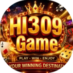 HI 309 Game
